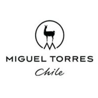 miguel torres