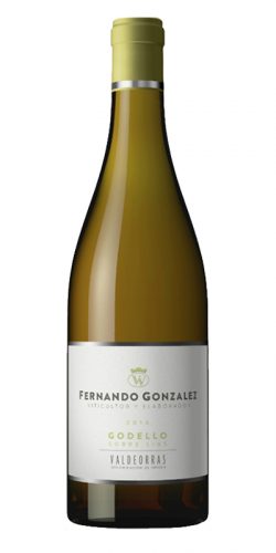 BODEGAS PALACIO fernando gonzalez