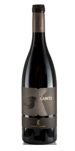 FAMILIA CASTAÑO santa principal