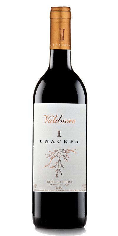 VALDUERO 1 cepa